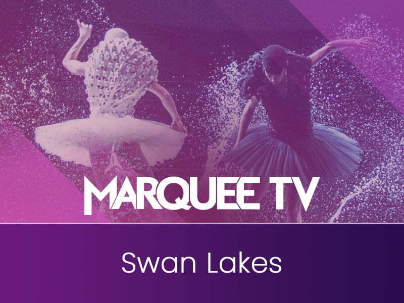 Watch Swan Lake Marquee TV