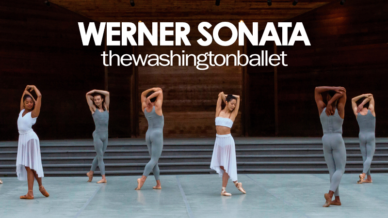 Landscape poster for The Washington Ballet's Werner Sonota